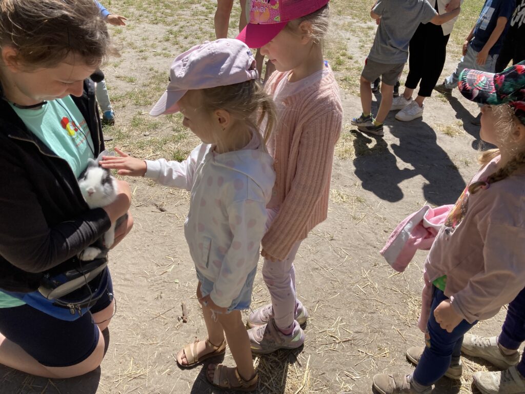 IMG 0202 1024x768