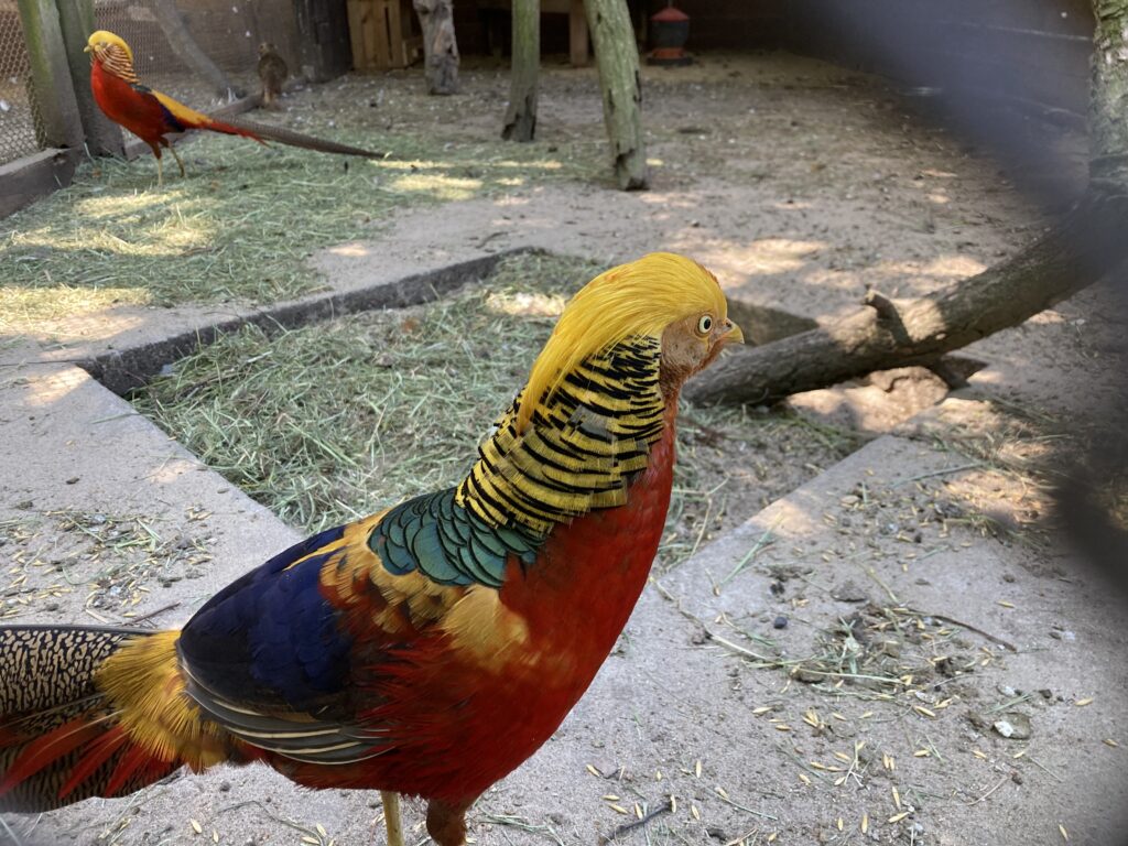 IMG 0216 1024x768