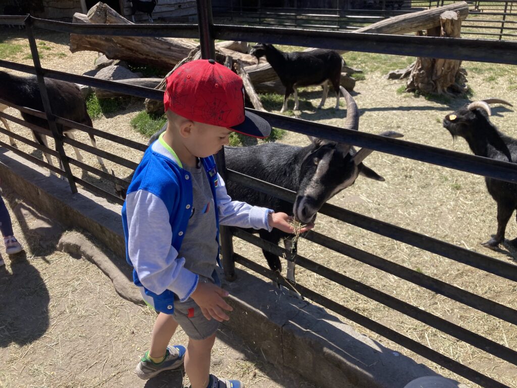 IMG 0228 1024x768
